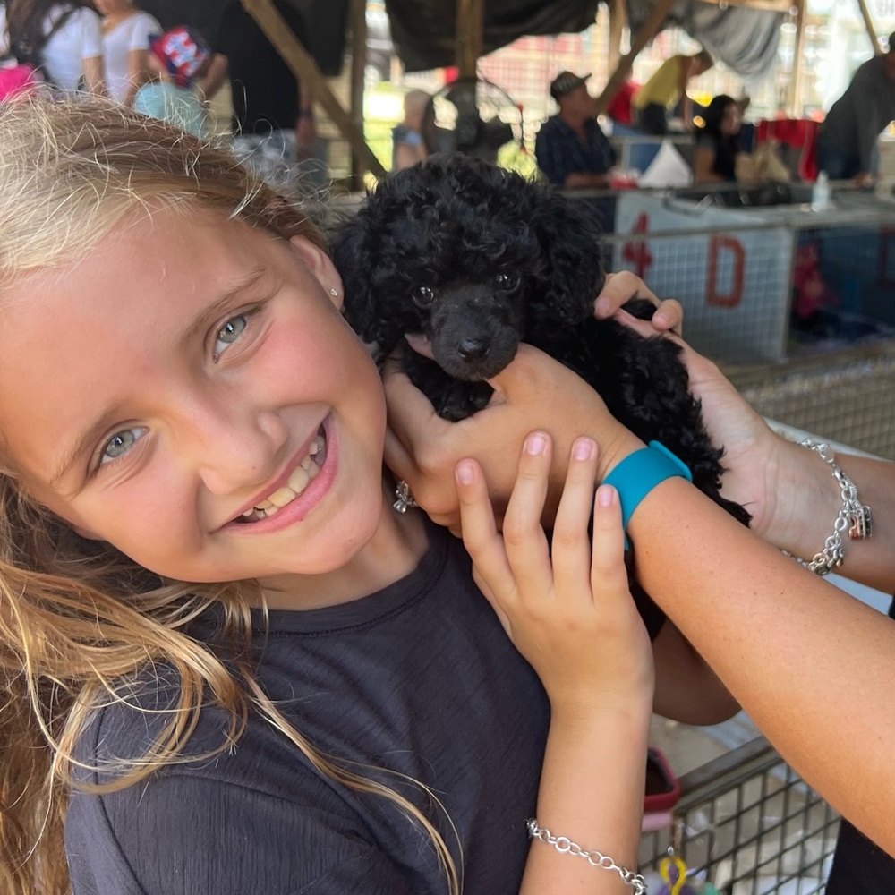 Meet your Posher, Gracelyn